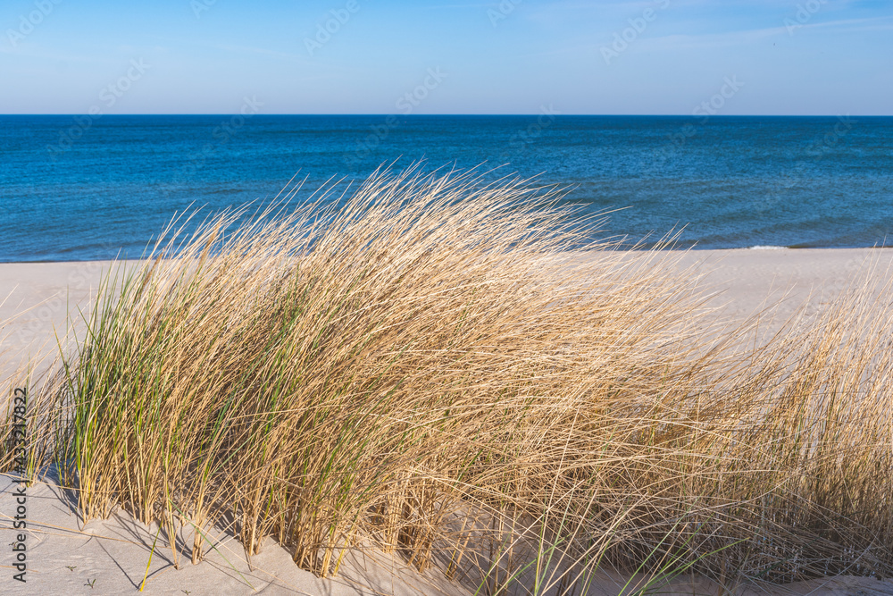 Beautiful calm blue sea with waves and sandy beach with reeds and dry grass among the dunes, travel in summer and holidays concept Beautiful calm blue sea with waves and sandy beach with reeds and dry grass among the dunes, travel in summer and holidays concept