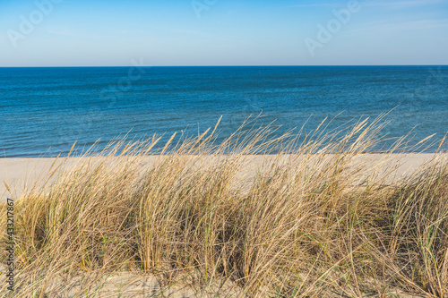 Beautiful calm blue sea with waves and sandy beach with reeds and dry grass among the dunes, travel in summer and holidays concept