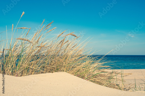 Beautiful calm blue sea with waves and sandy beach with reeds and dry grass among the dunes, travel in summer and holidays concept