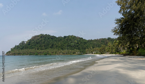 Coconut palms on the paradise coconut island