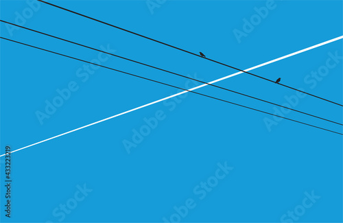 vector birds sit on electric wires against the background of a blue spring sky and the trail of a flying plane