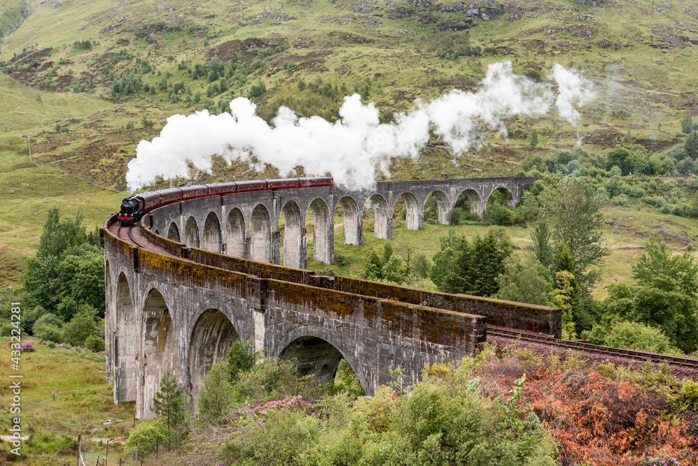 Obraz premium Train on viaduct