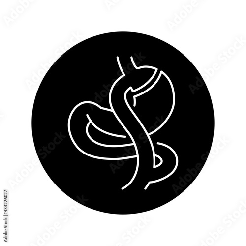 Gastric bypass Roux-en-Y olor line icon. Pictogram for web page, mobile app, promo.