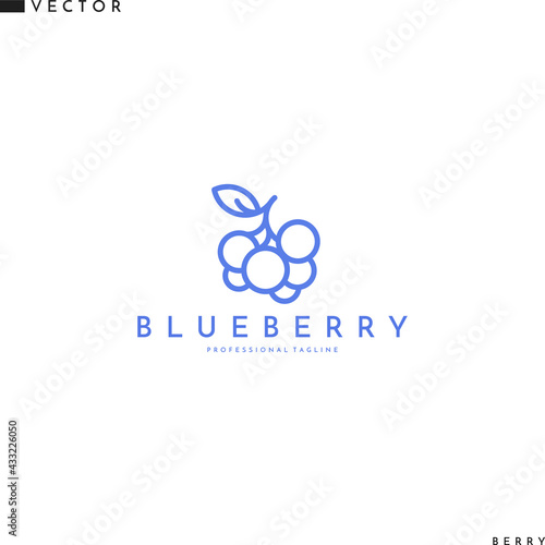 Blueberry logo template. Outline style