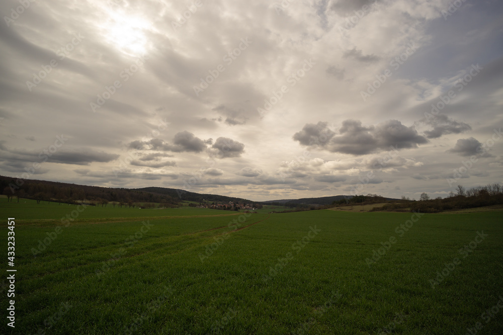 Wald Landschaft Wald Landschaft