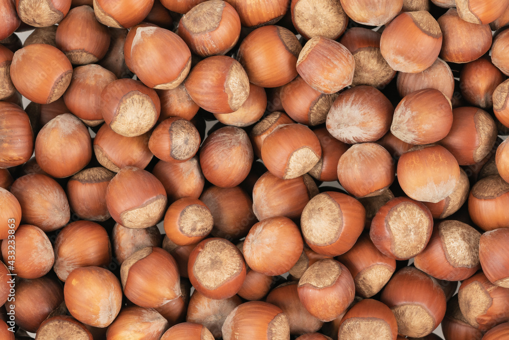 Unpeeled hazelnuts background texture. hazelnuts in shell Unpeeled hazelnuts background texture. hazelnuts in shell