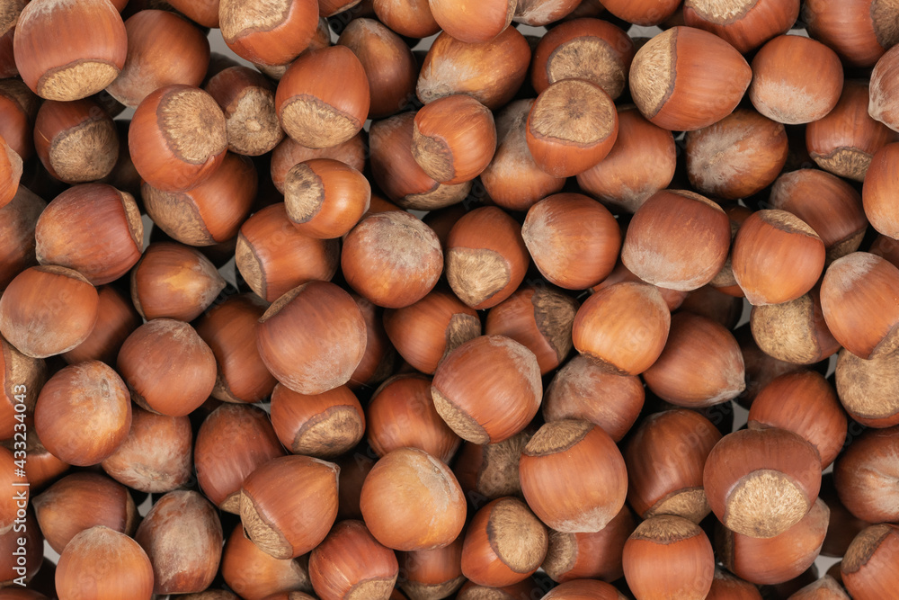 Unpeeled hazelnuts background texture. hazelnuts in shell Unpeeled hazelnuts background texture. hazelnuts in shell