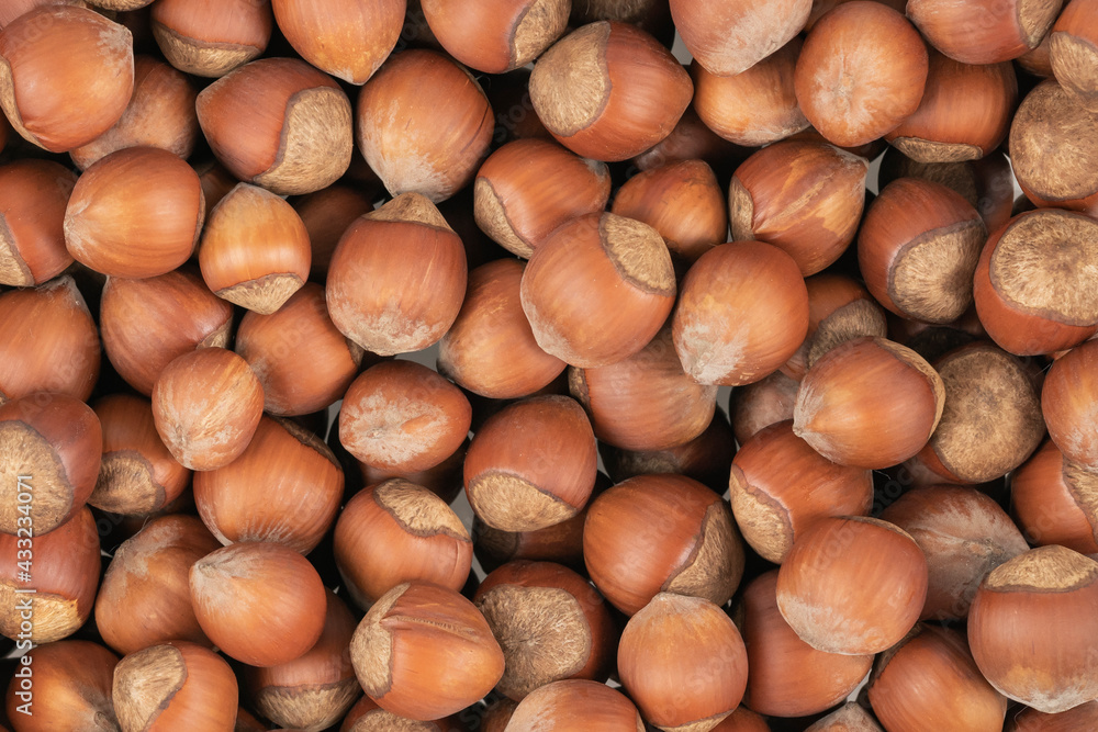 Unpeeled hazelnuts background texture. hazelnuts in shell Unpeeled hazelnuts background texture. hazelnuts in shell