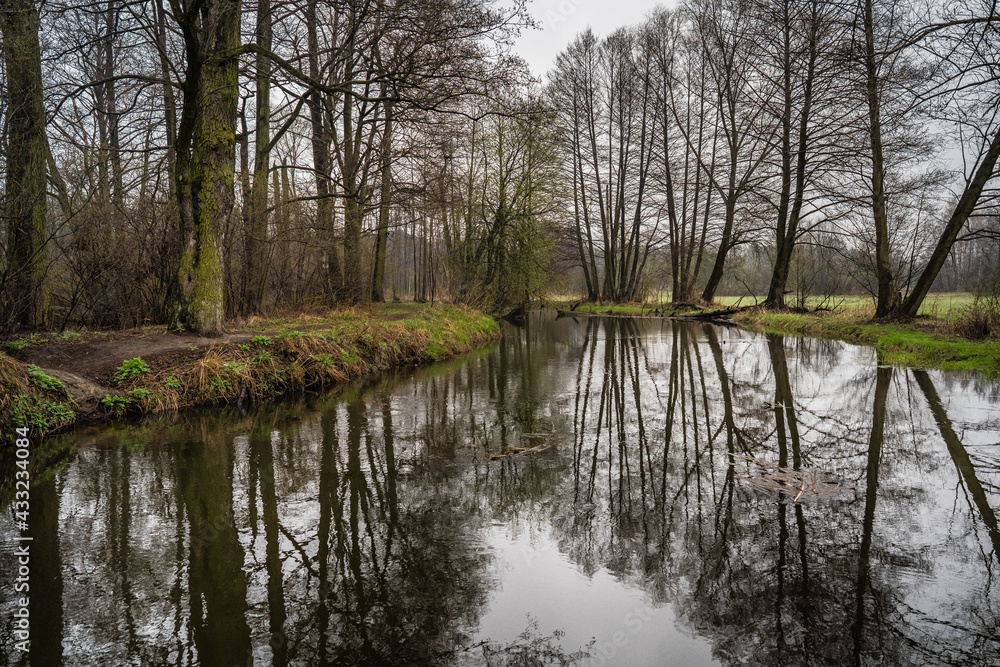 W oczekiwaniu na nadchodzącą wiosnę W oczekiwaniu na nadchodzącą wiosnę