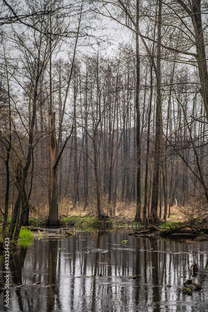 W oczekiwaniu na nadchodzącą wiosnę