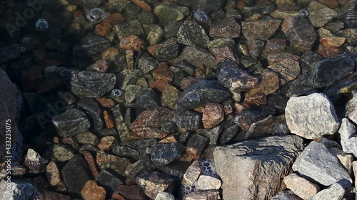 Calm waves of water among stones during the day, washing of the shore, moss and algae - nature background