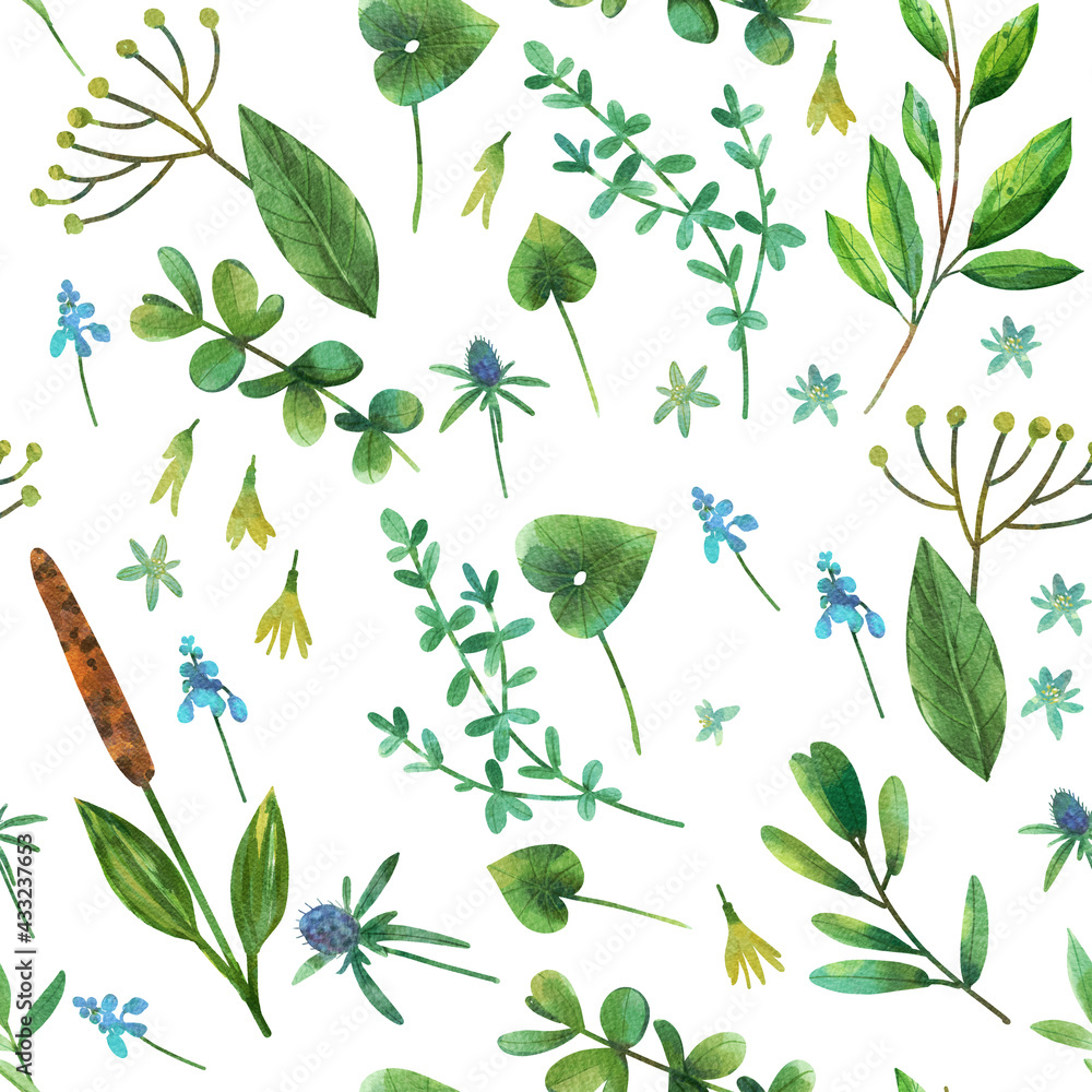 Naklejka premium Seamless pattern with watercolor painted herbs, plantain,oregano, laurel, dill. Can be used for textile design, wrapping paper, design elements, backgrounds.