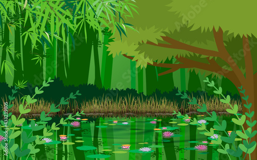 landscape of lake in the jungle in the day time in summer