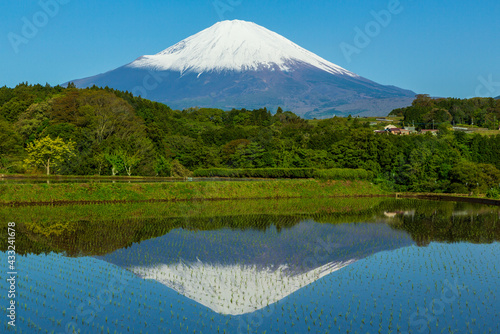 富士小山町竹之下の棚田に映る富士山と青空
