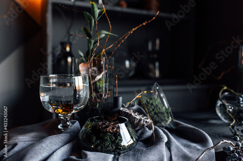 modern beautiful dark interior, room gray color, wardrobe shelves unusual gloomy decor table fabric cloth, dried flowers, vases with water, moss, branches, unusual style, halloween photo