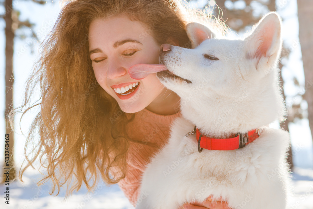 A curly-haired girl walks with a white akita in a snowy forest. A curly-haired girl walks with a white akita in a snowy forest.