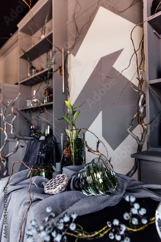 modern beautiful dark interior, room gray color, wardrobe shelves unusual gloomy decor table fabric cloth, dried flowers, vases with water, moss, branches, unusual style, halloween © Алена Ган