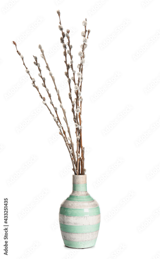 Fototapeta premium Vase with willow branch on white background