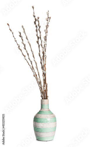 Vase with willow branch on white background © Pixel-Shot
