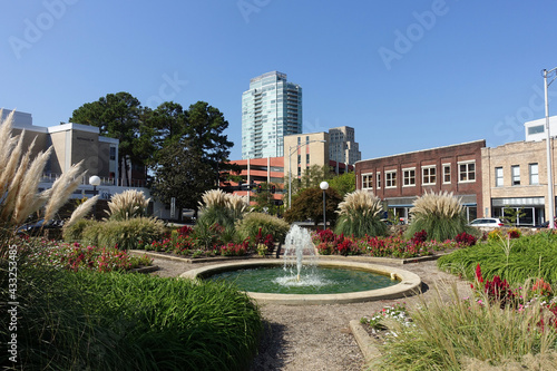 View of Durham, North Carolina from a Downtown Park photo