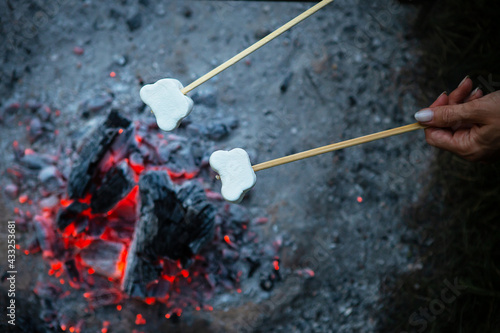 Marshmallows are fried on skewers over a fire. Fried marshmallows with an open flame on a skewer. Campfire romance, summer evening.