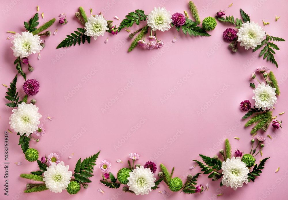 Frame made of colorful flowers chrysanthemum isolated on pastel pink background. Flowers composition. Summer wreath of chrysanthemum flowers. Flat lay. Frame made of colorful flowers chrysanthemum isolated on pastel pink background. Flowers composition. Summer wreath of chrysanthemum flowers. Flat lay.