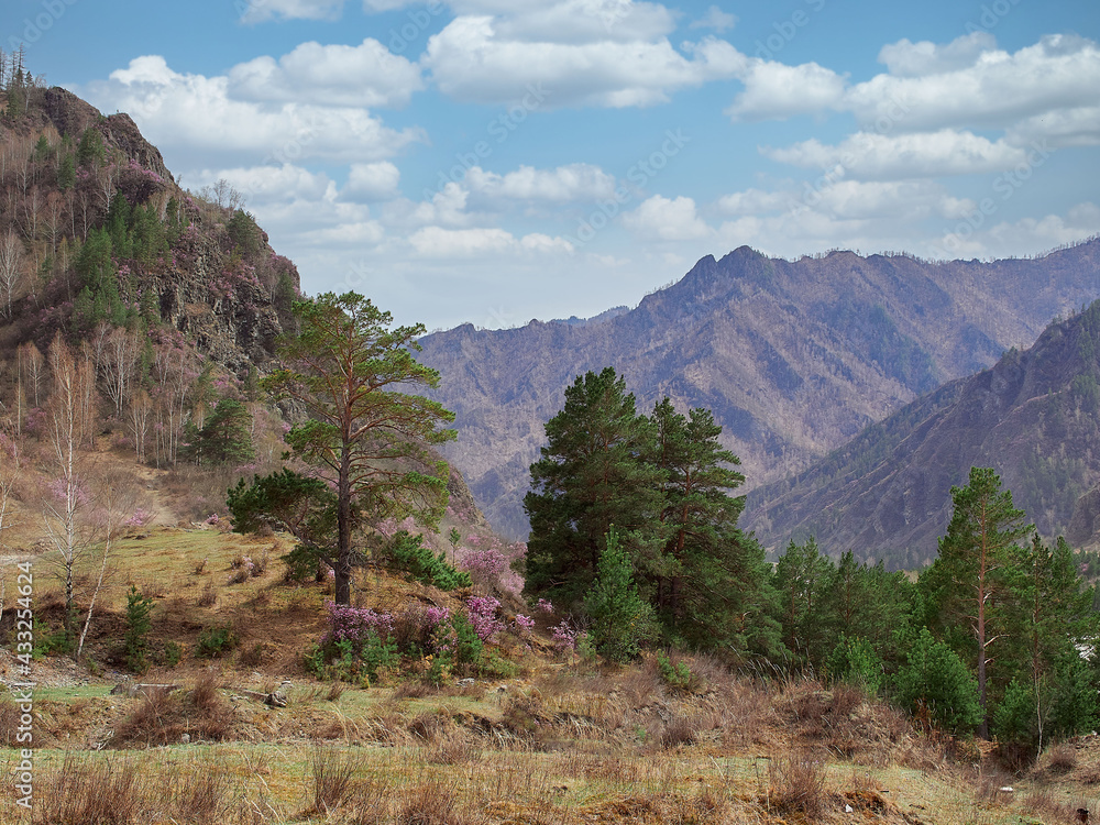 Beautiful mountain landscape in summer Beautiful mountain landscape in summer