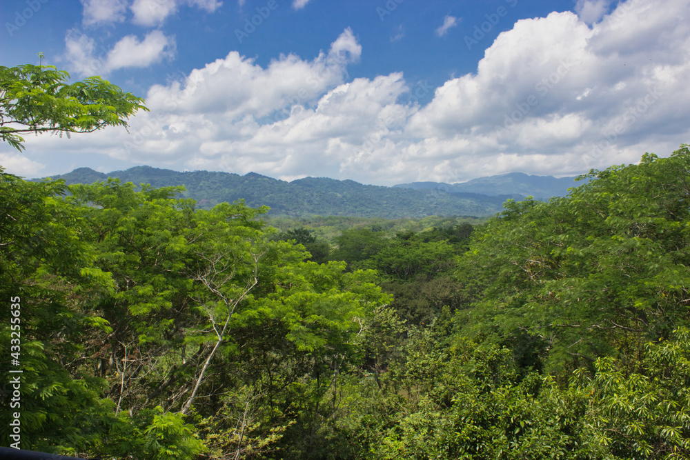 paisaje de selva desde lo alto con vista a las montañas en un día con nubes
