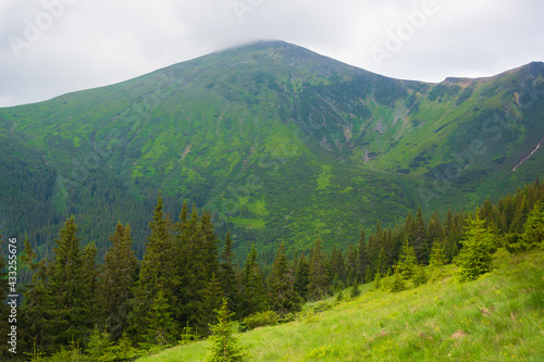 Summer time, Carpathian mountains