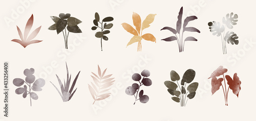 Set of trendy plants with different textures illustration in natural colors