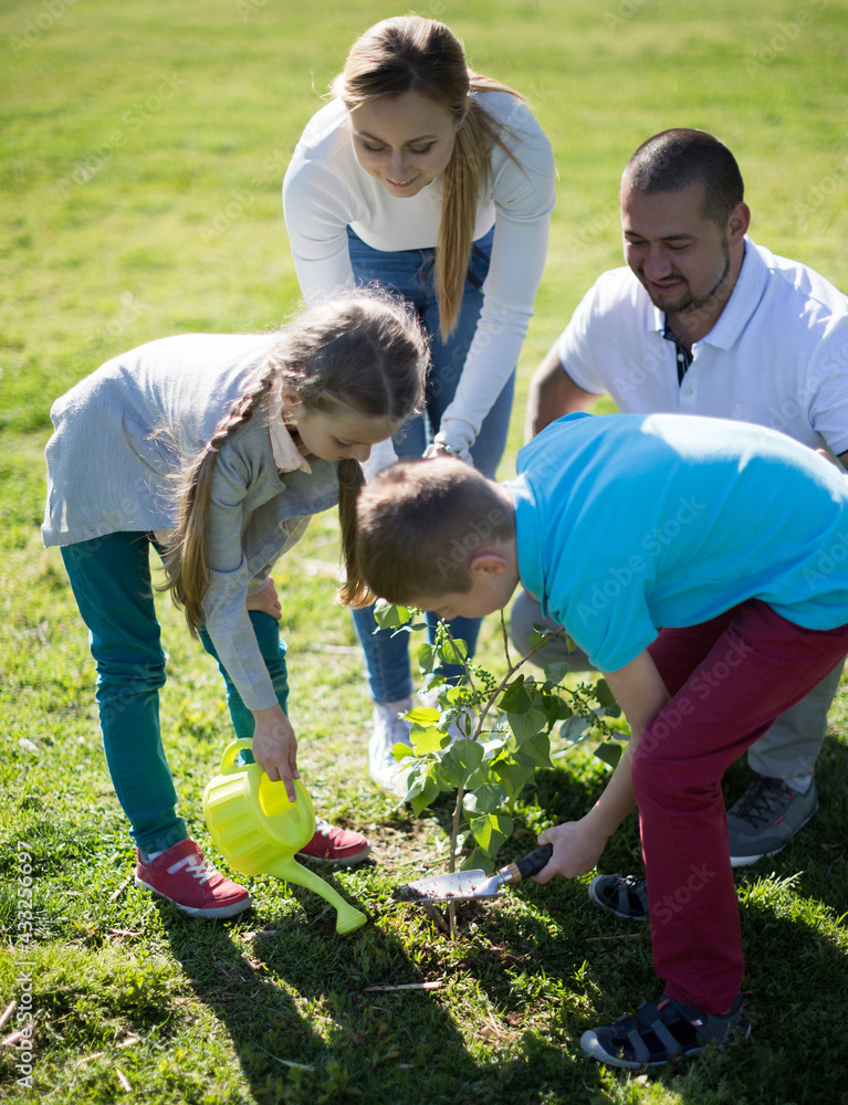 Dad, mom, son and daughter carefully plant a new tree in the park Stock ...
