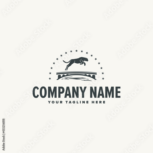 design logo jaguar star company vector