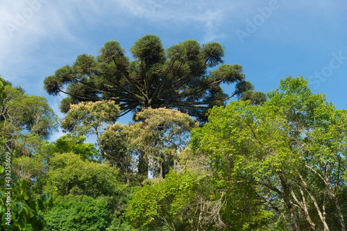 Parque São Lourenço, importante área verde em Curitiba, Paraná, Brasil