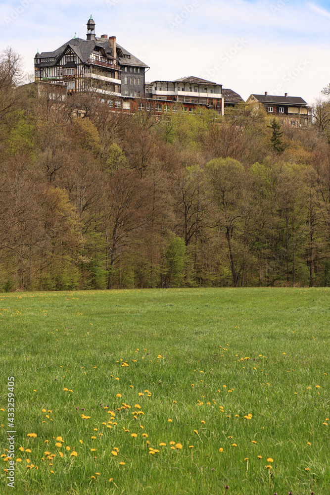 Frühling im Schwarzatal, Blick vom Tal auf den oberen Teil von Schwarzburg