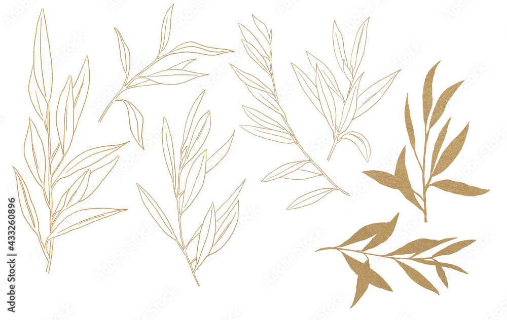 Fototapeta premium Watercolor golden Olive Branched Illustration