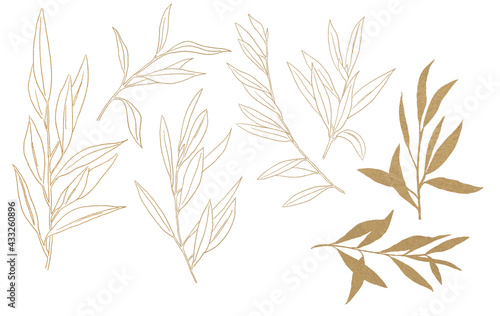 Watercolor golden Olive Branched Illustration