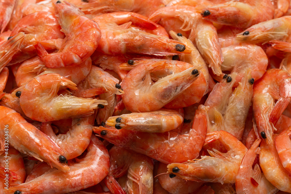 Shrimps background texture. A lot of shrimps. Cooked shrimps. Shrimps background texture. A lot of shrimps. Cooked shrimps.