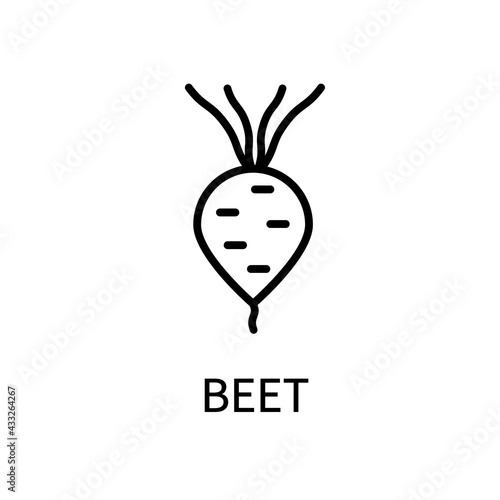 Beetroot Line Icon In Simple Style. Healthy Food. Natural Product. Vector sign in a simple style isolated on a white background.