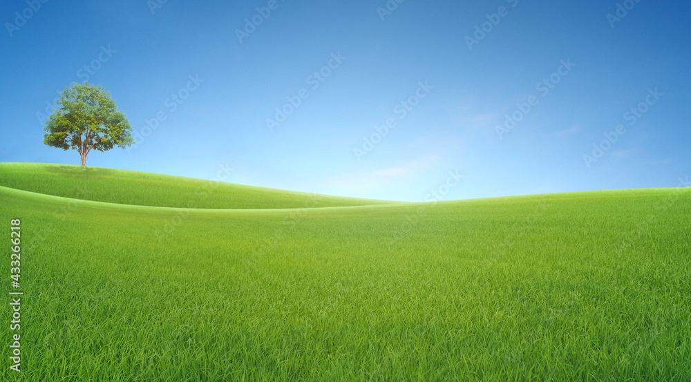 panoramic landscape, lonely tree among green fields, blue sky and white clouds in the background