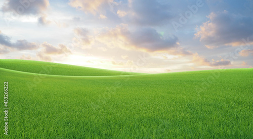 Green grass field and blue sky. Bright sunny summer day. Idyllic landscape.