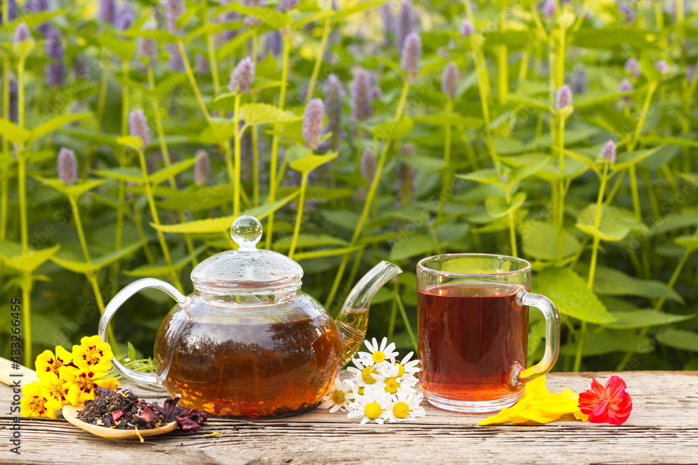Tea in nature. Still life with hibiscus tea on a background of blooming mint. Prepared tea, dry tea, rose petals, marigolds and chamomile are on an old wooden table. Tea in nature. Still life with hibiscus tea on a background of blooming mint. Prepared tea, dry tea, rose petals, marigolds and chamomile are on an old wooden table.