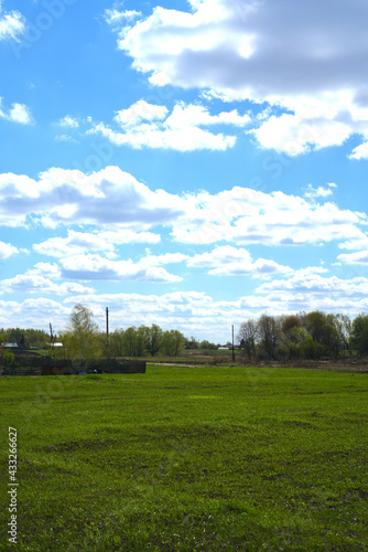 A field of green grass and a blue sky with white clouds. Perfect landscape. Vertical snapshot © Vitaly_MOKK