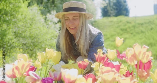 Portrait female farmer planting flowers tulips in garden with sun in background. Organic and spring gardening concept. 