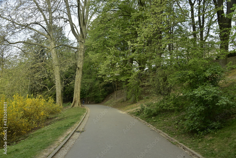 Chemin asphalté sous le feuillage des arbres au printemps au parc Josaphat à Schaerbeek Chemin asphalté sous le feuillage des arbres au printemps au parc Josaphat à Schaerbeek