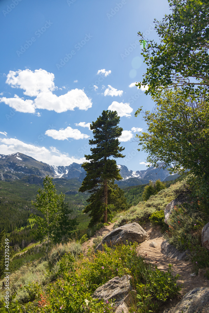 Bierstadt Lake Trail with blue sky and mountains in background in Rocky Mountain National Park, Colorado
