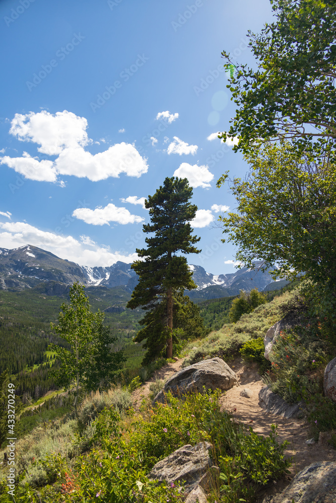 Obraz premium Bierstadt Lake Trail with blue sky and mountains in background in Rocky Mountain National Park, Colorado 