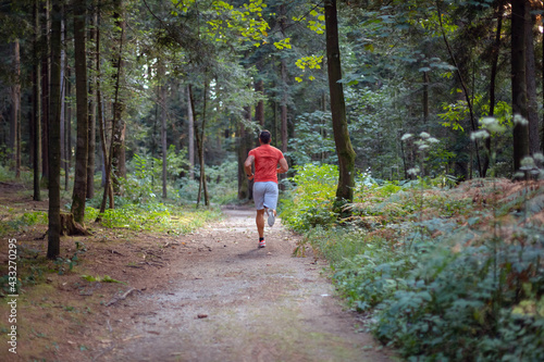 Wallpaper Mural Back view of a Caucasian man in sportswear running along a forest trail Torontodigital.ca