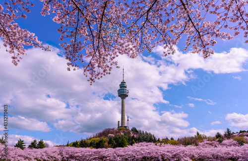 Daegu, South Korea - April 28, 2021 See the Cherry Blossom Night at E-World 83 Tower.
