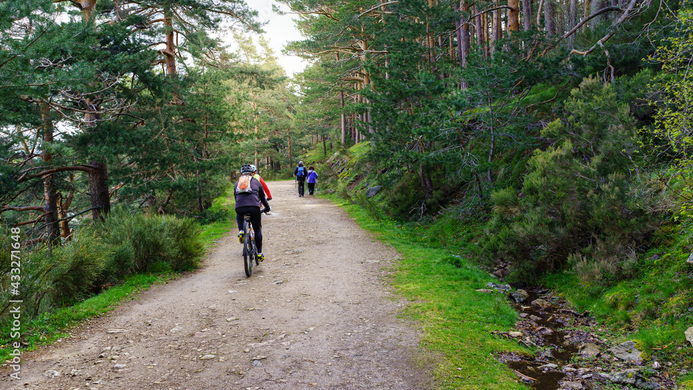 Path in the forest for sports, people cycling and hiking. Guadarrama Madrid. Path in the forest for sports, people cycling and hiking. Guadarrama Madrid.