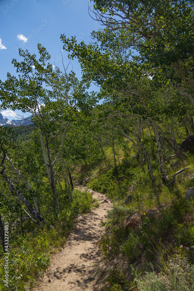Bierstadt Lake Trail with blue sky and mountains in background in Rocky Mountain National Park, Colorado
Bierstadt Lake Trail with blue sky and mountains in background in Rocky Mountain National Park, Colorado